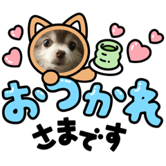 [LINEスタンプ] ラムちゃんの可愛いスタンプの画像（メイン）