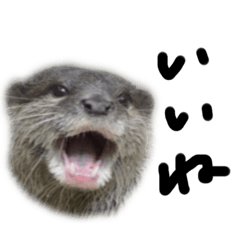 [LINEスタンプ] イケイケのカワウソ