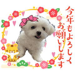 [LINEスタンプ] 4ワンスタンプ♪♪