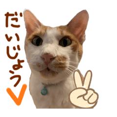[LINEスタンプ] ポン太くん ファミリーver.