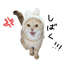 [LINEスタンプ] とわもり2