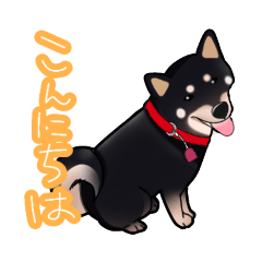 [LINEスタンプ] 黒柴さくらとなかまたち