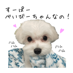 [LINEスタンプ] 【嫁の笑顔が見たくって】ルル坊スタンプ②