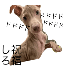 [LINEスタンプ] sisiくん ②