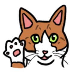 [LINEスタンプ] ネコのおさんぽついてゆく