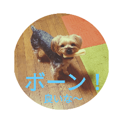 [LINEスタンプ] ヨーキーと桜文鳥