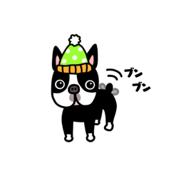 [LINEスタンプ] 愛犬ボストンテリアのスタンプ