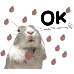 [LINEスタンプ] ♡saki様