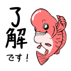 [LINEスタンプ] コブダイさん