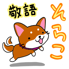 [LINEスタンプ] 柴犬そらこ【敬語ver.】