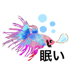 [LINEスタンプ] ベタ(Betta fish)