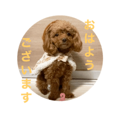 [LINEスタンプ] ウチのメンヘラ犬