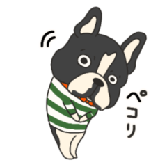 [LINEスタンプ] フレンチブルドッグのたいちゃん