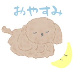 [LINEスタンプ] かわいいプードルのきもち