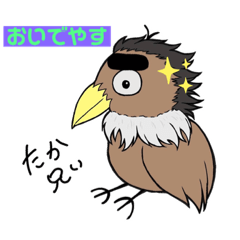 [LINEスタンプ] たか兄『京都弁』バージョン