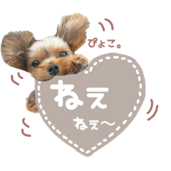 [LINEスタンプ] ぴのさんすたんぷ。