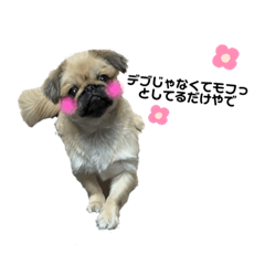 [LINEスタンプ] かきぽん