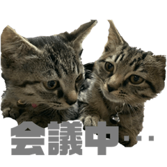 [LINEスタンプ] わさびの家族です