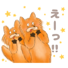 [LINEスタンプ] いいぞ！キツネ！