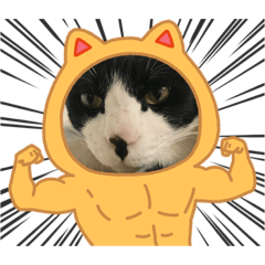 [LINEスタンプ] 猫のスタンプ第二弾