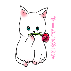 [LINEスタンプ] しろねこ にゃーにゃ①