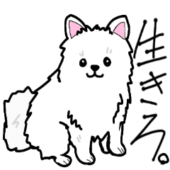 [LINEスタンプ] 多様性を認め合おう。