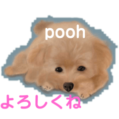[LINEスタンプ] poohの年末年始