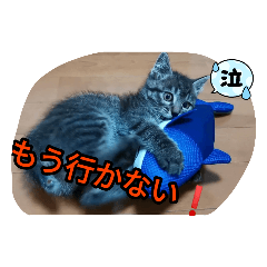 [LINEスタンプ] Moto猫スタンプ4(ジロー)
