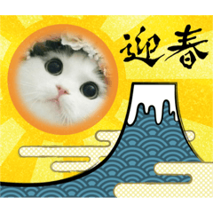 [LINEスタンプ] ねこのすたんぷ☆