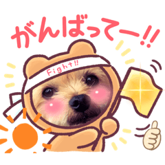 [LINEスタンプ] Koharu スタンプ！年末年始にも！