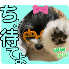 [LINEスタンプ] MIX犬ララさんの日常④＋