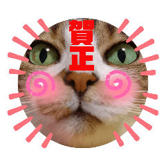 [LINEスタンプ] ナナエモン⑦正月っぽい