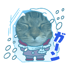 [LINEスタンプ] キジトラのクリスマス＆お正月スタンプ