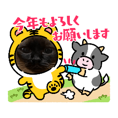 [LINEスタンプ] 正月cats