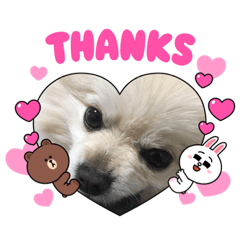 [LINEスタンプ] わたげ_stamp