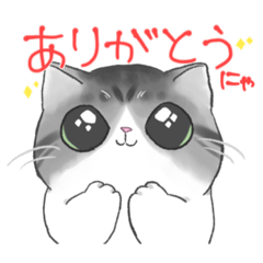 [LINEスタンプ] ベルちゃん（猫）