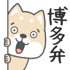 [LINEスタンプ] 博多弁-柴犬