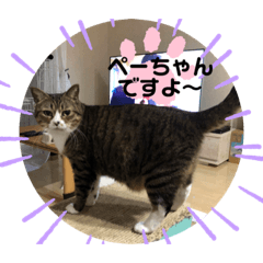 [LINEスタンプ] にゃるそっく⑤