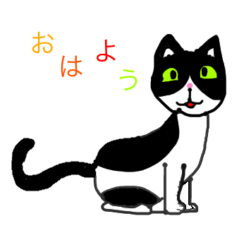 [LINEスタンプ] 白と黒の猫トムキャットの挨拶スタンプ