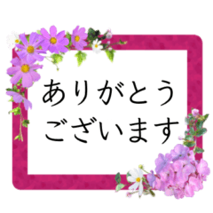 [LINEスタンプ] 優しい色、上品な花、敬語