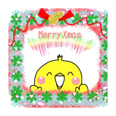 [LINEスタンプ] クリスマスぴよりん