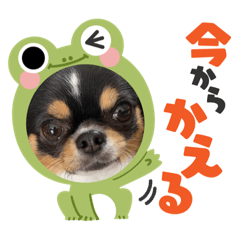 [LINEスタンプ] もかち3