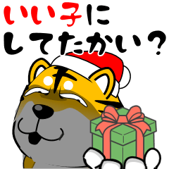 [LINEスタンプ] 真・激しく尻尾をふる柴犬→トラ 2