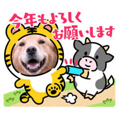 [LINEスタンプ] 年末年始のごあいさつスタンプ