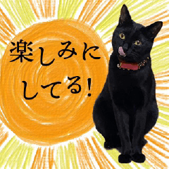 [LINEスタンプ] ぶりてぃーずのスタンプ