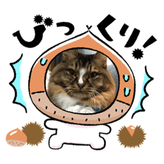 [LINEスタンプ] マイキーG3