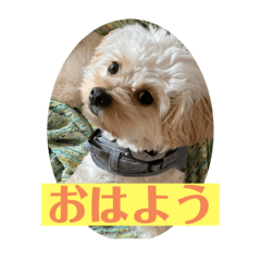 [LINEスタンプ] Robスタンプ【第2弾】
