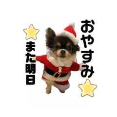[LINEスタンプ] 結ちゃん ④