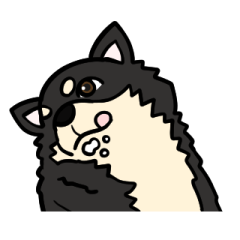 [LINEスタンプ] チワワのレディちゃん