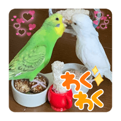[LINEスタンプ] ゆきちゃん宅スタンプ20